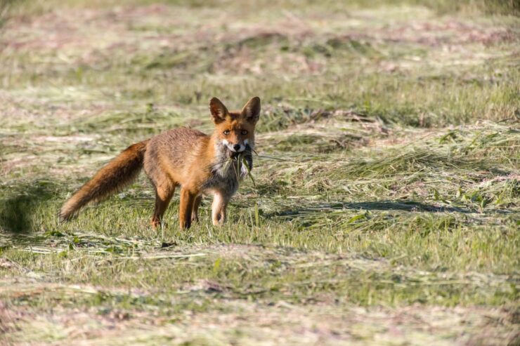 Mit offenen Augen durch die Natur - Fotoausstellung von Antje Görtler im Stift zu Wüsten 3