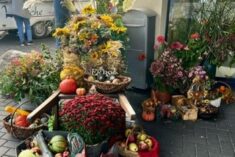 Fröhliches Erntefest des Kulturring im Ev. Stift zu Wüsten 2