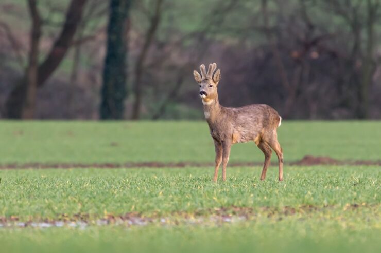 Mit offenen Augen durch die Natur - Fotoausstellung von Antje Görtler im Stift zu Wüsten 2